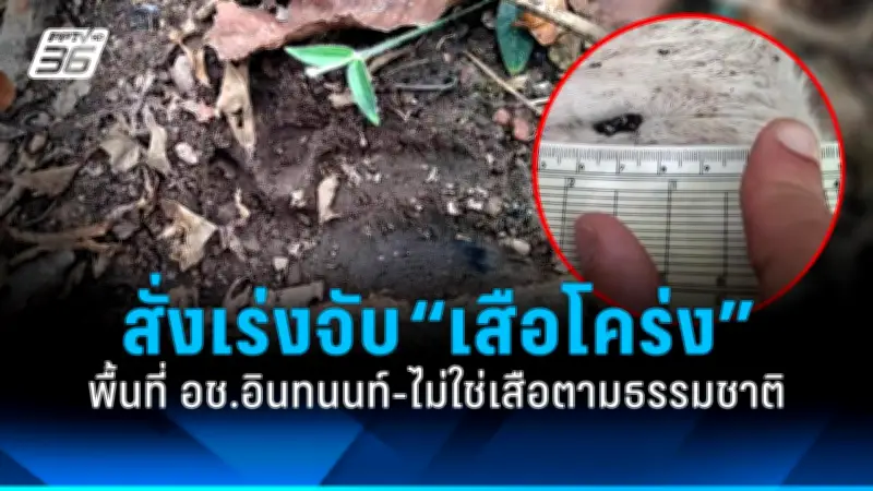 รัฐบาลเดินหน้าโครงการบ้านมั่นคง ตั้งเป้าสร้างที่อยู่อาศัยราคาถูก 1 ล้านหน่วยภายใน 5 ปี