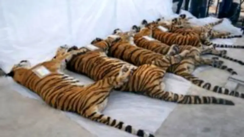 กสทช. อนุมัติเพิ่มค่าธรรมเนียมใบอนุญาตโทรศัพท์มือถือ 10 บาทต่อเลขหมาย เริ่มมีผล 1 เม.ย. 2568