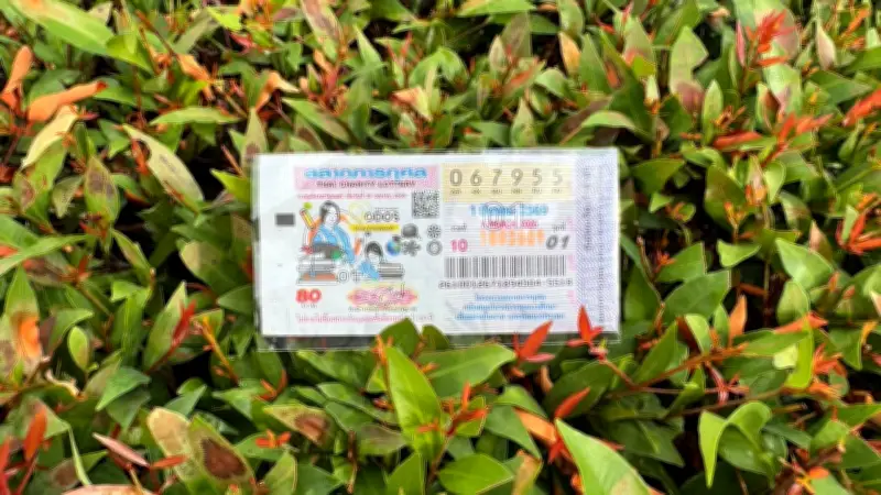 10 อันดับเลขเด็ดหวยงวด 1 มีนาคม 2569 ขายดีจนเกลี้ยงแผง แม่ค้าชี้เลขดังจากสุราษฎร์ธานี