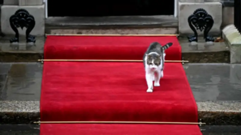 แลร์รี่ แมวประจำสำนัก ครม. อังกฤษ ฉลอง 15 ปี รับใช้ 6 นายกฯ