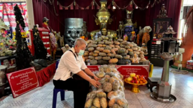 หญิงสมหวังแก้บนด้วยฟักทอง 200 ลูกถวายปู่ฤาษีพรหมเมศ พร้อมส่องเลขเด็ด
