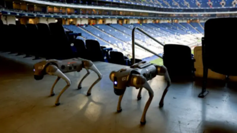 สหรัฐฯ คว้าแชมป์โอลิมปิก 2024 ครองอันดับ 1 โลก หลังจีนตามห่าง 4 เหรียญทอง