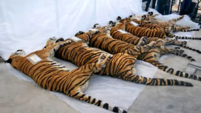 รัฐบาลไทยได้เสียงสนับสนุน 291 เสียง ขณะที่พรรคประชาธิปัตย์และพรรคกล้าธรรมไม่เข้าร่วม