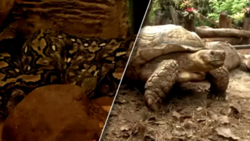 สวนสัตว์โคราชเร่งติดตั้งสปริงเกอร์คลายร้อนให้สัตว์ หลังอุณหภูมิพุ่ง 34 องศา