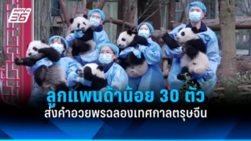 รัฐบาลเตรียมปรับโครงสร้างภาษีใหม่ หวังกระตุ้นเศรษฐกิจและลดความเหลื่อมล้ำ