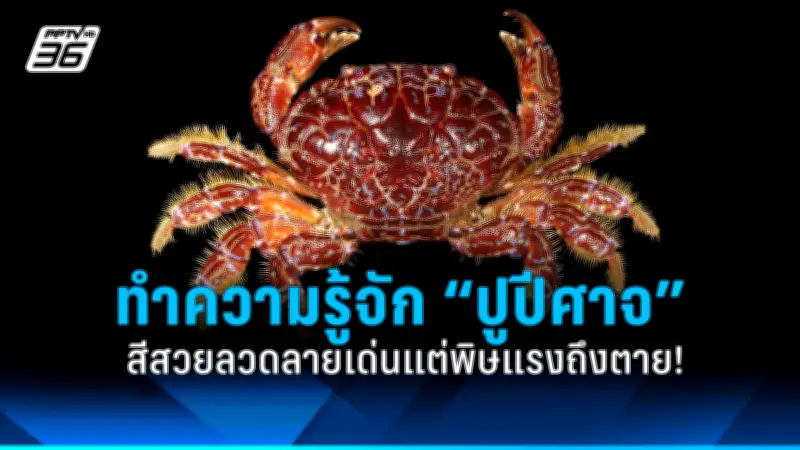 รัฐบาลไทยเดินหน้าส่งเสริมการท่องเที่ยวเชิงสุขภาพ ตั้งเป้าดึงดูดนักท่องเที่ยวคุณภาพสูง