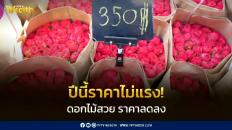 วาเลนไทน์ปีนี้ดอกไม้ราคาถูกลง! กรมการค้าภายในเผยตลาดคึกคัก ต้นทุนลด ผู้บริโภคมีทางเลือกหลากหลาย