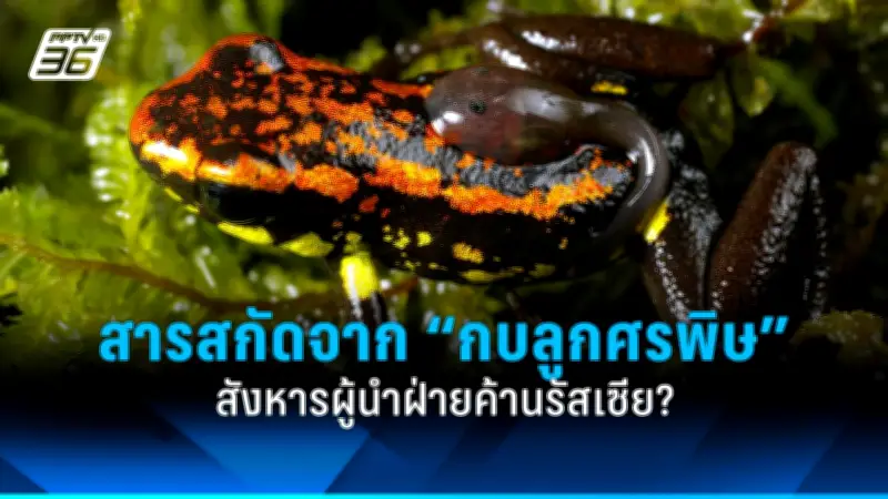 รัฐบาลไทยเตรียมปรับปรุงโครงสร้างพื้นฐานด้านการขนส่งทั่วประเทศ