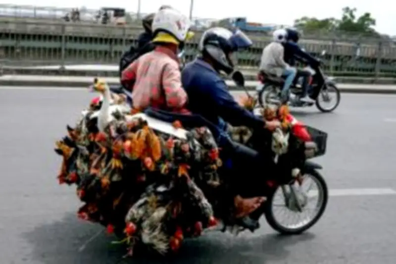 เวียดนามเตรียมออกกฎหมายใหม่ควบคุมการลงทุนต่างชาติในภาคอสังหาริมทรัพย์