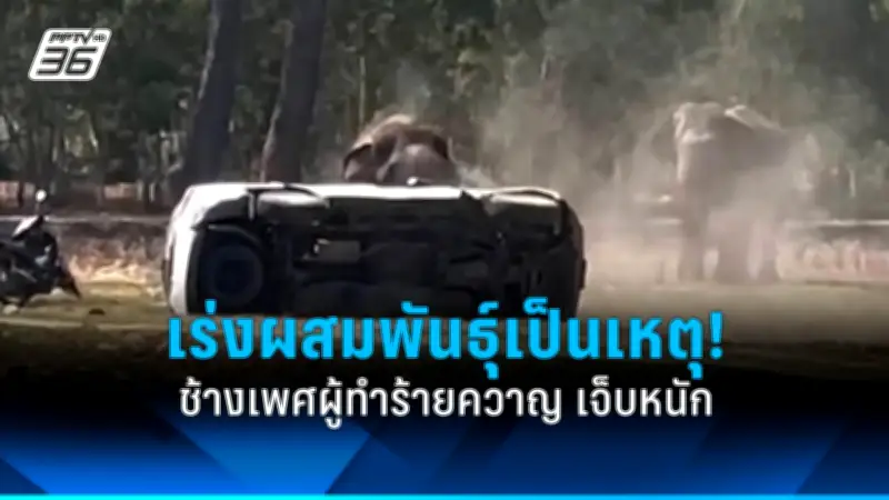สหรัฐฯ ประกาศมาตรการคว่ำบาตรใหม่ต่อรัสเซีย หลังเหตุการณ์ลอบวางระเบิดในยูเครน