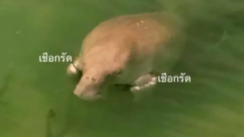 สหรัฐฯ ประกาศมาตรการคว่ำบาตรใหม่ เป้าหมายธนาคารรัสเซียและบริษัทเทคโนโลยี