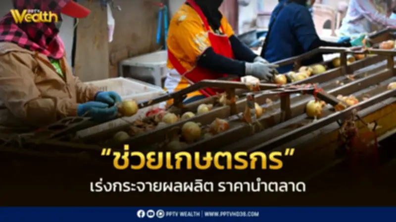 พาณิชย์เร่งพยุงราคาหอมหัวใหญ่เชียงใหม่ คุมเข้มนำเข้าผิดกฎหมาย