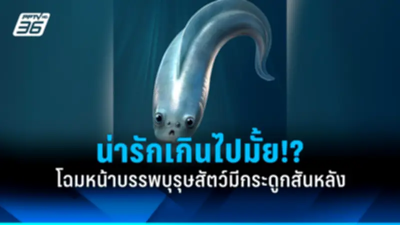 รัฐบาลไทยเดินหน้าสร้างความร่วมมือกับประเทศเพื่อนบ้านเพื่อกระชับความสัมพันธ์และเศรษฐกิจ