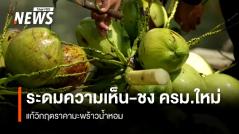 วิกฤตราคามะพร้าวน้ำหอมตกต่ำ ภาครัฐ-เอกชนเร่งหาทางออกเชิงนโยบายยั่งยืน