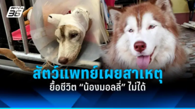 สหรัฐฯ ประกาศมาตรการคว่ำบาตรใหม่ต่อรัสเซีย หลังเหตุการณ์นาวาลนีเสียชีวิต