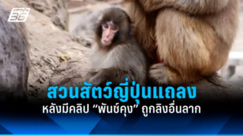 รัฐบาลไทยเดินหน้าขยายความร่วมมือด้านการค้าและการลงทุนกับประเทศเพื่อนบ้าน