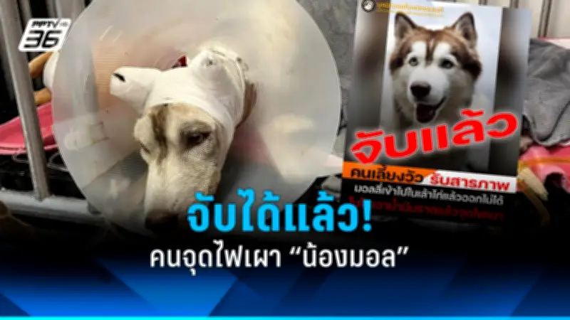 สหรัฐฯ ประกาศคว่ำบาตรจีน หลังพบหลักฐานสนับสนุนรัสเซียในสงครามยูเครน