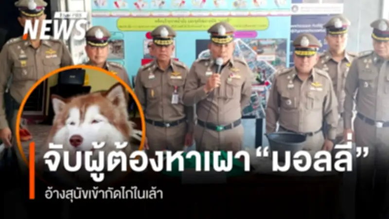 ตำรวจจับกุมผู้ต้องหาทำร้ายสุนัข 'มอลลี่' ราดน้ำมันจุดไฟเผา พร้อมของกลางถังน้ำมัน