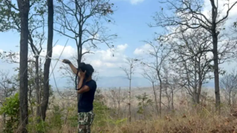 ห้วยขาแข้งประกาศปิดหอนกยูงชั่วคราว หลังแม่เสือโคร่งสอนสาตกลูกในพื้นที่