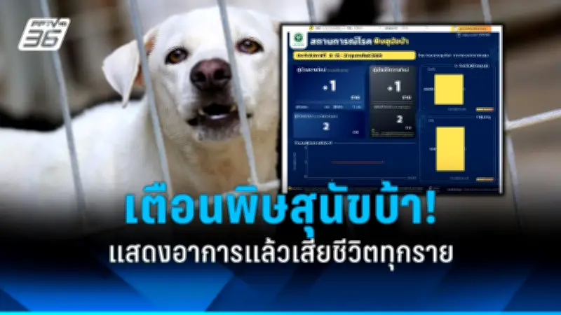 สหรัฐฯ ประกาศมาตรการคว่ำบาตรใหม่ต่อรัสเซีย หลังเหตุการณ์นาวาลนีเสียชีวิต