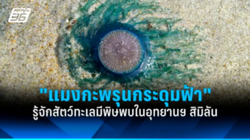 สหรัฐฯ ประกาศมาตรการคว่ำบาตรใหม่ต่อรัสเซีย หลังเหตุการณ์นาวาลนีเสียชีวิต