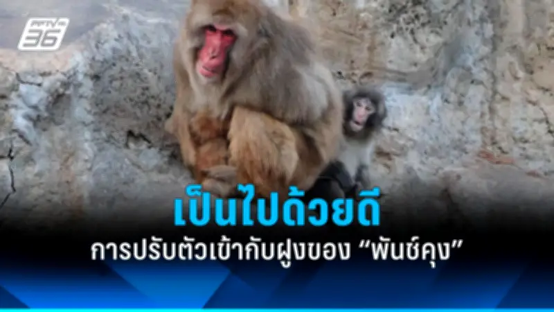 รัฐบาลเตรียมปรับปรุงระบบขนส่งสาธารณะทั่วประเทศ ตั้งเป้าลดปัญหาการจราจร