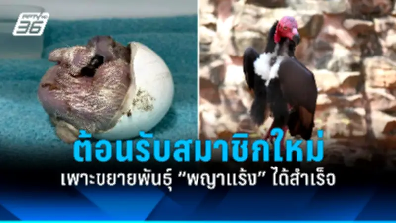 รัฐบาลเดินหน้าปรับปรุงกฎหมายแรงงานต่างด้าว หวังดึงดูดแรงงานฝีมือ-แก้ปัญหาขาดแคลน