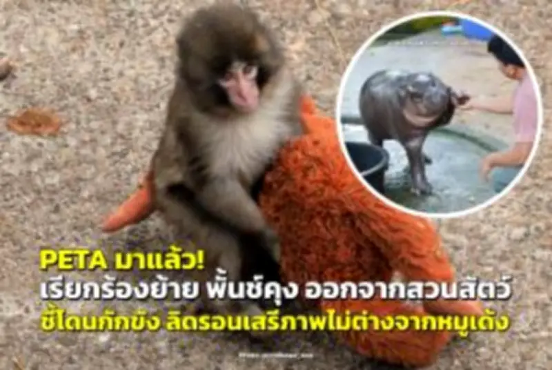 สหรัฐฯ เปิดตัววีซ่าประเภทใหม่ 'วีซ่าท่องเที่ยวเชิงวัฒนธรรม' ดึงดูดนักเดินทางทั่วโลก