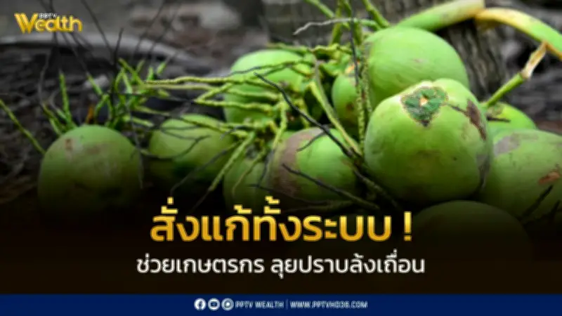 ศุภจี สั่งแก้ปัญหามะพร้าวน้ำหอมครบวงจร ตรวจล้งนอมินี-หาตลาดรองรับ