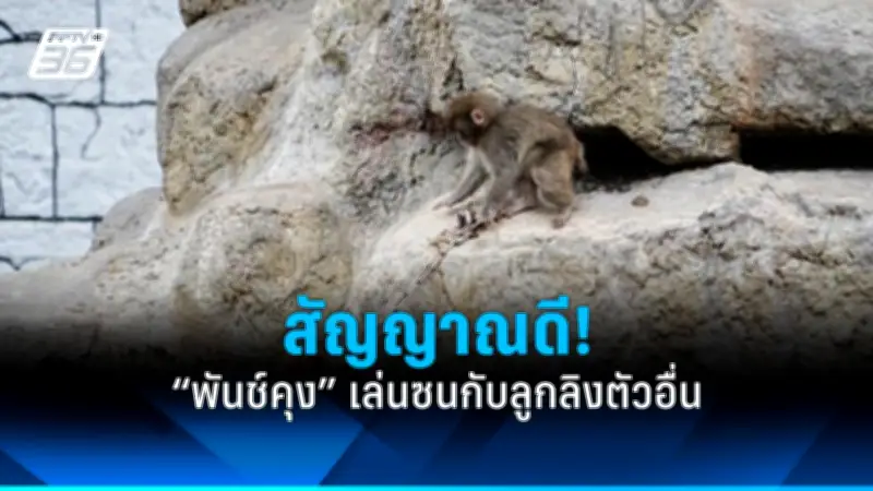 รัฐบาลเตรียมแผนรับมือวิกฤตเศรษฐกิจโลก พร้อมมาตรการกระตุ้นการลงทุน