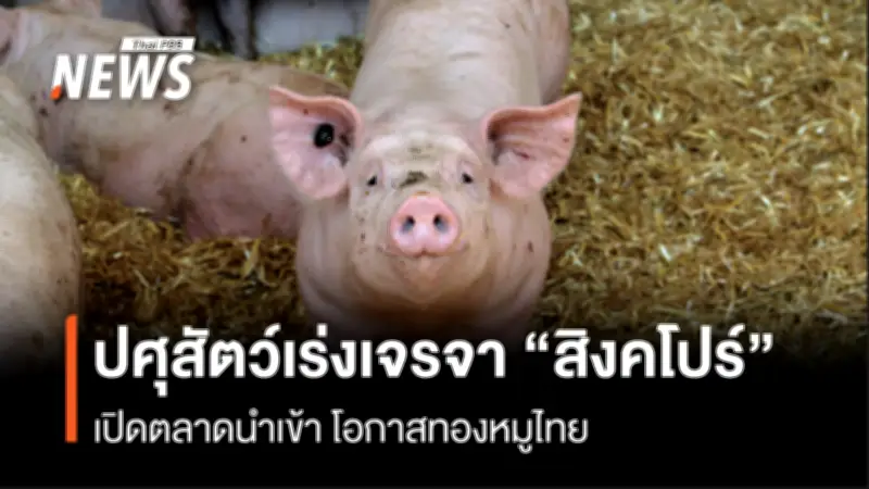 กรมปศุสัตว์เร่งเจรจาสิงคโปร์ มี.ค.นี้ หวังเปิดตลาดส่งออกหมูเพิ่มอีกประเทศ