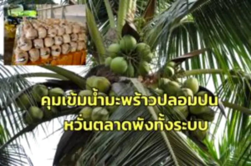 สตาร์ทอัพไทยคว้ารางวัลนวัตกรรมระดับโลก พร้อมแผนขยายตลาดในเอเชียตะวันออกเฉียงใต้