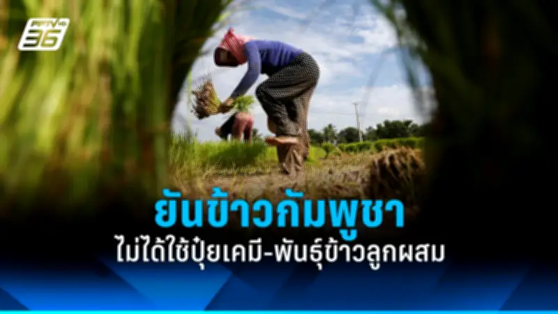 รัฐบาลไทยเดินหน้าแผนปฏิรูปประเทศ เน้นเศรษฐกิจดิจิทัลและความโปร่งใส