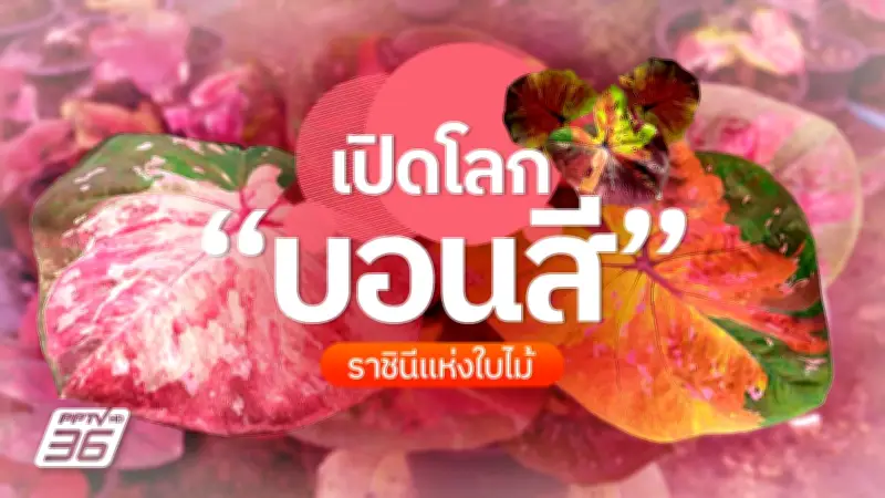 เปิดโลกบอนสี ราชินีแห่งใบไม้ ที่สวน J&W ORCHID นครปฐม สถานที่เที่ยวใกล้กรุงเทพฯ