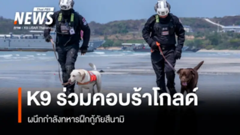 K9 USAR Thailand ร่วมฝึกคอบร้าโกลด์จำลองสึนามิถล่มชายฝั่ง ทดสอบการค้นหาและกู้ชีพในพื้นที่ยาก