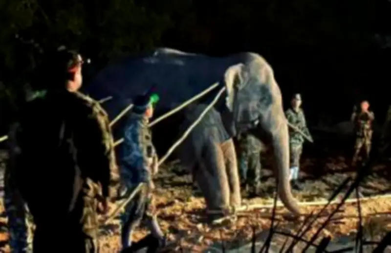 กทม. เตรียมปรับปรุงระบบไฟส่องสว่างถนน เปลี่ยนเป็น LED ทั่วกรุง ภายในปี 2568