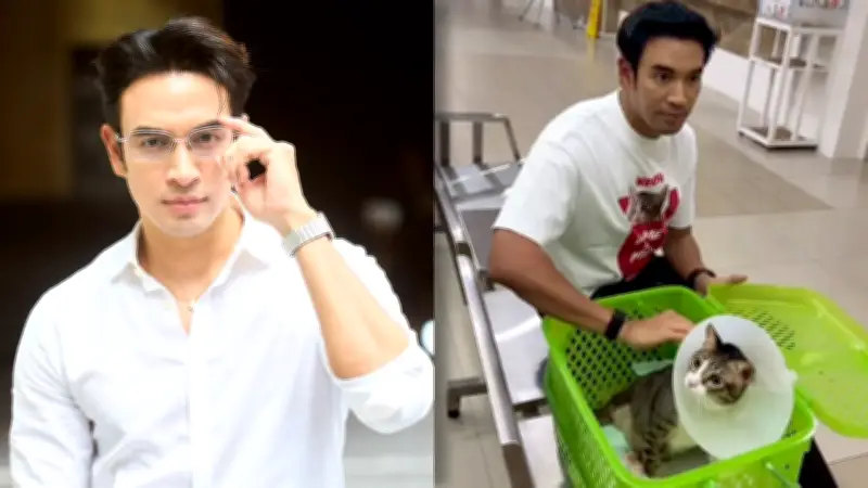 เกรท วรินทร เผยอาการน้องแมวไข่ตุ๋นป่วยระบบประสาท รอคิว MRI สัปดาห์หน้า