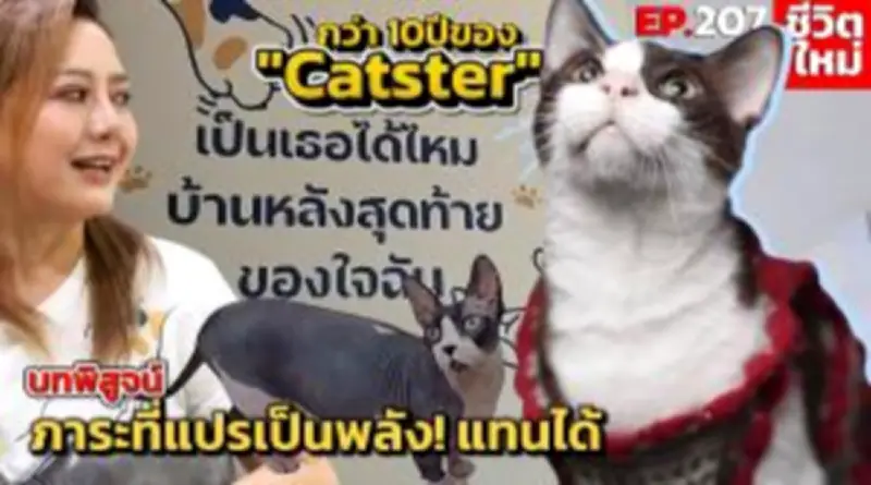 SMEs ไทยเผชิญวิกฤตเงินทุนหมุนเวียน หนี้สูง-รายได้ลด หลังโควิด-19