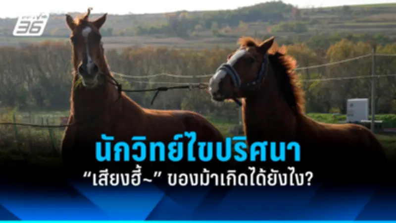 สหรัฐฯ เตรียมส่งขีปนาวุธ Tomahawk ใหม่สู่กองทัพเรือ หลังทดสอบสำเร็จในทะเลจีนใต้