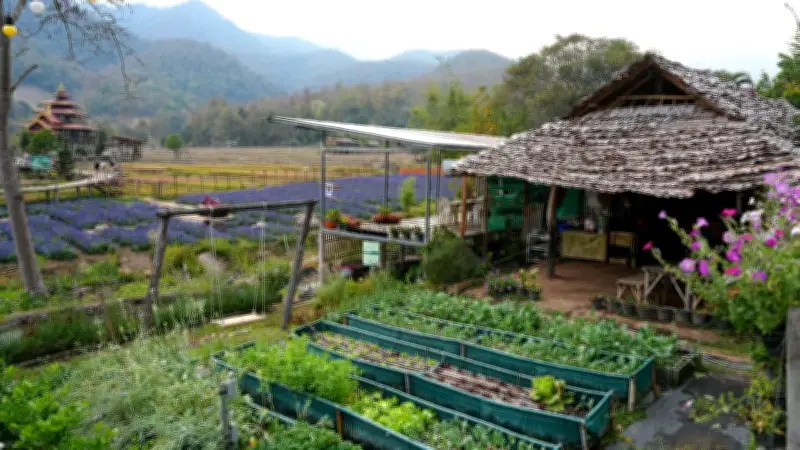 เปิดเส้นทาง 'เที่ยวชุมชน ยลวิถี' ที่บ้านแพมบก แม่ฮ่องสอน ชูเสน่ห์ UNSEEN THAI THAI