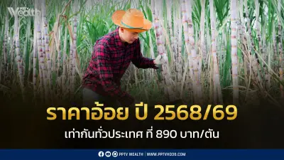 ครม.เห็นชอบราคาอ้อยปี 2568/2569 890 บาท/ตัน ลดลง 23% จากปีก่อน