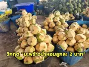 กรมอุทยานฯ เตรียมปิดอุทยานแห่งชาติ 4 แห่งในภาคเหนือ หลังพบฝุ่น PM2.5 เกินค่ามาตรฐาน