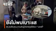 ตำรวจยังไม่พบเบาะแสผู้จุดไฟเผาสุนัขไซบีเรียน 'มอลลี่' เจ้าทำพิธีลอยอังคารท่ามกลางความโศกเศร้า