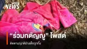 พบร่างเด็กหญิงถูกทิ้งเสียชีวิตในป่า จ.สระบุรี เจ้าหน้าที่เร่งตามหาญาติและเบาะแส