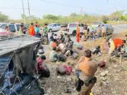 กรมอุทยานฯ เปิดเผยผลการจับกุมผู้ลักลอบตัดไม้พะยูงในพื้นที่ป่าอนุรักษ์