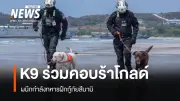 K9 USAR Thailand ร่วมฝึกคอบร้าโกลด์จำลองสึนามิถล่มชายฝั่ง ทดสอบการค้นหาและกู้ชีพในพื้นที่ยาก