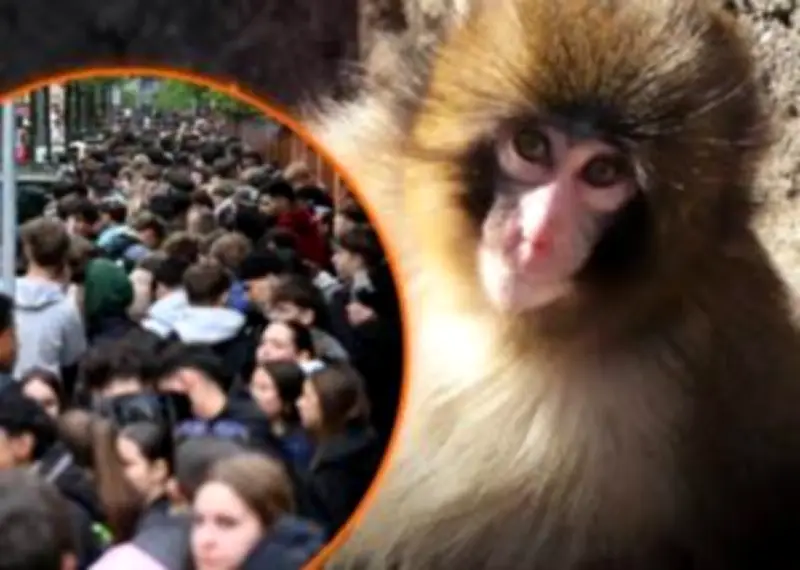 ญี่ปุ่นเผชิญวิกฤตประชากรลดฮวบ ตั้งเป้าดึงดูดแรงงานต่างชาติ 1 ล้านคนภายในปี 2033