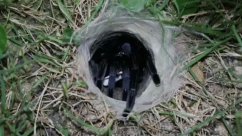 ซินแสอินทรีเผยดวงเลขเด่น 1 เม.ย. 69 คนเกิดมิ.ย.-ก.ย. โชคจัดเต็ม พร้อมฤกษ์มงคลเมษายน