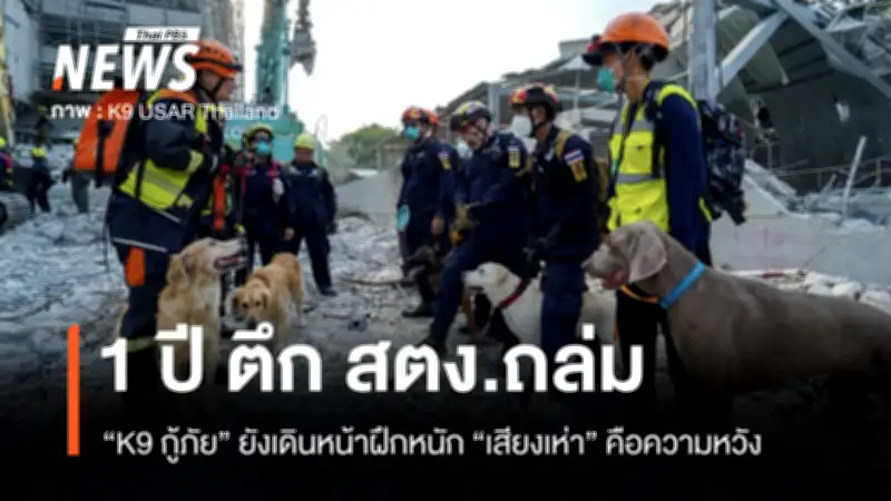 ครบรอบ 1 ปี ตึก สตง. ถล่ม: ระลึกโศกนาฏกรรมและภารกิจกู้ภัยด้วยสุนัข K9