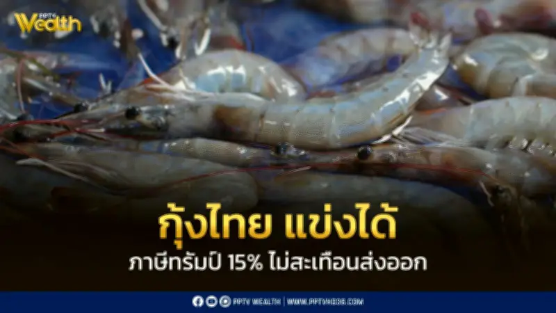 กุ้งไทยฟื้นตัวสู้ภาษีทรัมป์ 15% ส่งออกทะลุ 4 แสนตัน เกษตรกรมั่นใจผลผลิตสูง